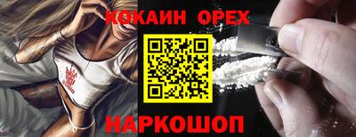 гидра Будённовск