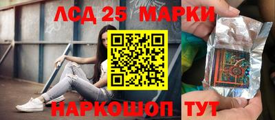 гидра Будённовск