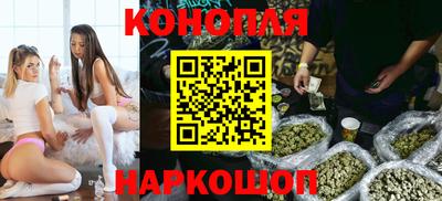гидра Будённовск