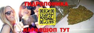 прущие грибы Бугуруслан
