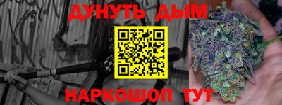 гидра Будённовск
