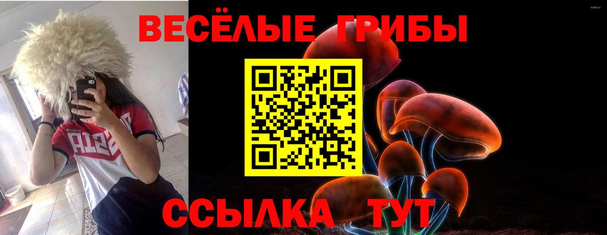 Галлюциногенные грибы Psilocybine cubensis Муравленко