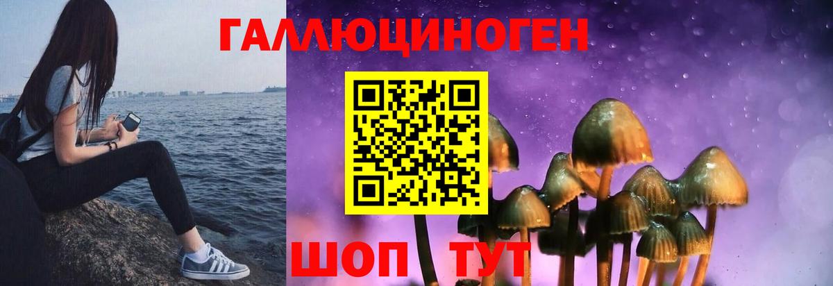 Псилоцибиновые грибы мицелий  Галлюциногенные грибы GOLDEN TEACHER  Муравленко  Вход с VPN 